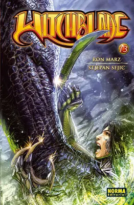 Witchblade 13