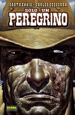 Solo un Peregrino