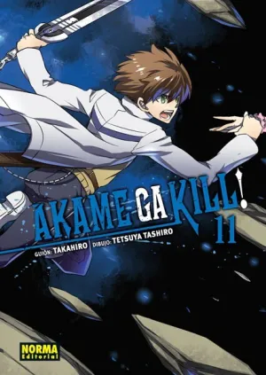 Akame Ga Kill! 11