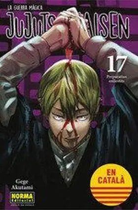 Jujutsu Kaisen 17 Catala