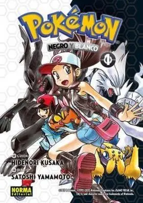 Pokemon 26. Negro y Blanco 01