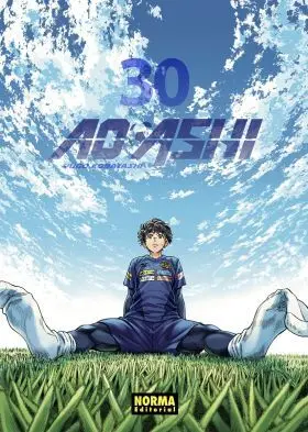 Ao Ashi 30