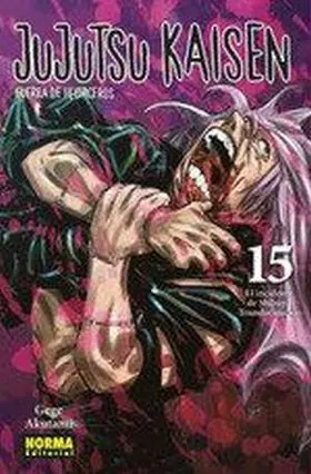 Jujutsu Kaisen 15 (Ne)