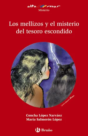 Los Mellizos y el Misterio del Tesoro Escondido