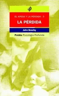 Perdida Afectiva