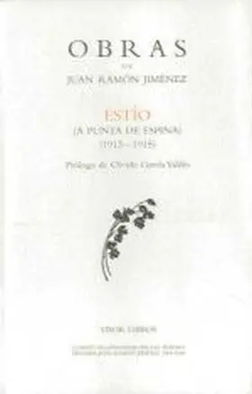 Estio Obras J. r. jimenez-15