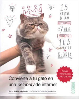 Convierte a tu Gato en una Celebrity de Internet