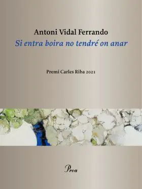 Si Entra Boira no Tendré On Anar