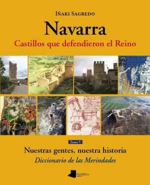 Navarra V Castillos que Defendieron el Reino Tomo V