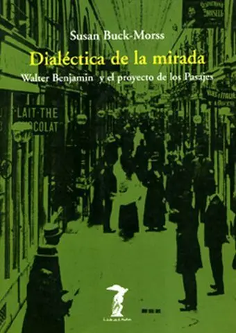 Dialectica de la Mirada
