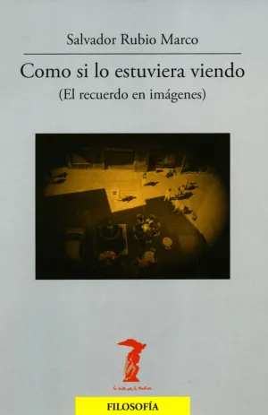 Como si lo Estuviera Viendo