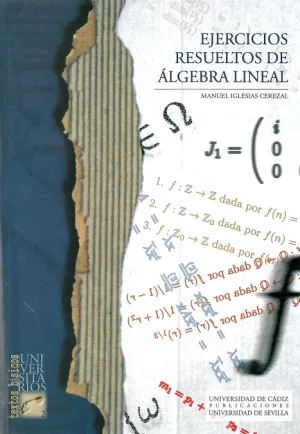 Ejercicios Resueltos de Algebra Lineal