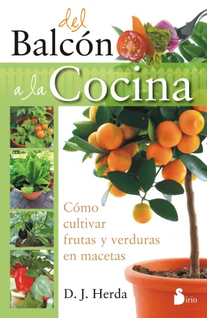 Calendario 2011 Irrealidades