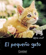 Pequeño Gato