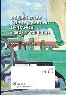 Reflexiones Sobre Derecho de Daños:casos y Opinion