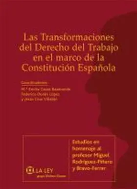 Las Transformaciones del Derecho del Trabajo en el