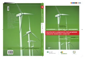 Cuadernos de Derecho para Ingenieros V. Derecho de