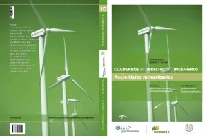 Cuadernos de Derecho para Ingenieros. 10 Accionist