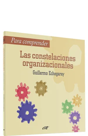 Para Comprender las Constelaciones Organizacionale