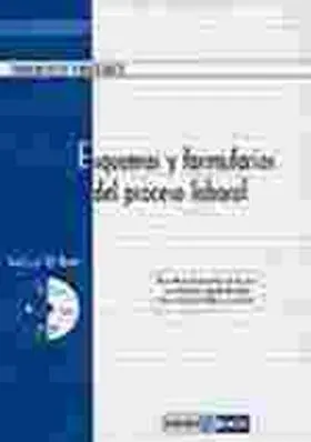 Esquemas y Formularios del Proceso Laboral