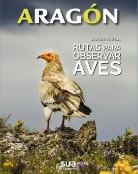Rutas para Observar Aves