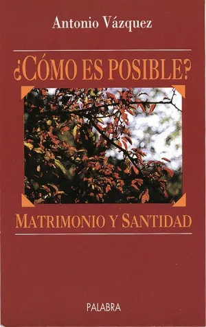 Como Es Posible Matrimonio y Santidad