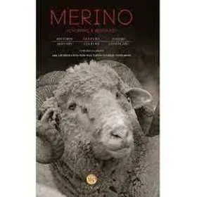 Merino