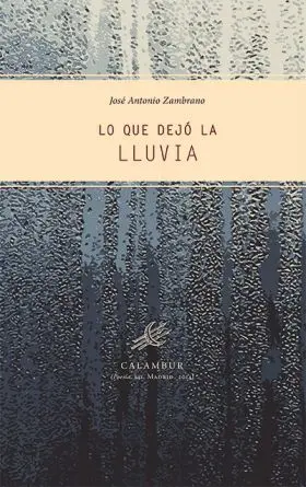 Lo que Dejo la Lluvia