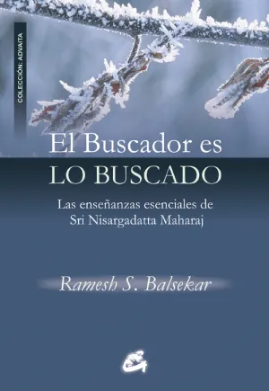 Buscador Es lo Buscado
