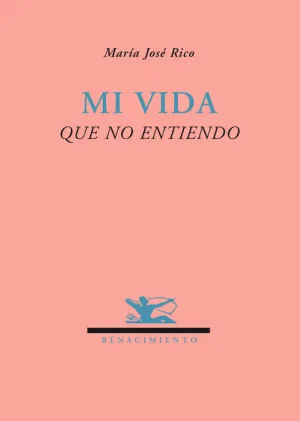 Mi Vida que no Entiendo