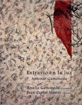 Extravio en la Luz