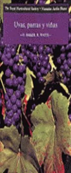 Uvas, Parras y Viñas M. j. b.