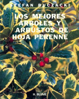 Mejores Arboles y Arbustos de Hoja Perenne