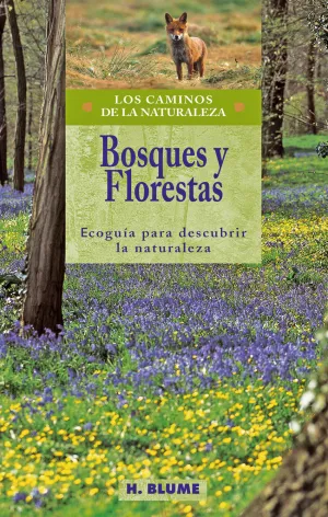 Bosques y Florestas