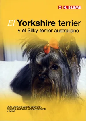 Yorkshire Terrier y Silky Terrier Australiano