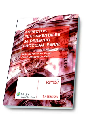 Aspectos Fundamentales de Derecho Procesal Penal (
