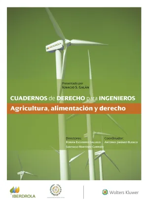 Cuadernos de Derecho para Ingenieros (N. º 47)