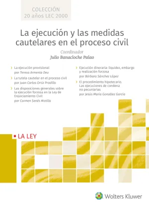 La Ejecución y las Medidas Cautelares en el Proceso Civil