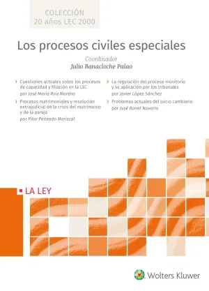 Los Procesos Civiles Especiales
