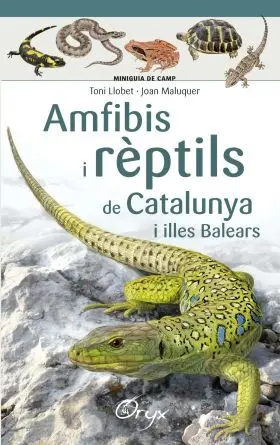 Amfibis I Reptils de Catalunya