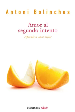 Amor Al Segundo Intento