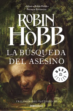 La Busqueda del Asesino
