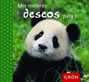 Mis Mejores Deseos para Ti