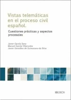 Vistas Telematicas en el Proceso Civil Español, las