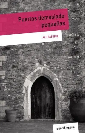 Puertas Demasiado Pequeñas
