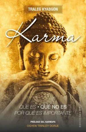 Karma. Que Es, que no Es, por que Es Importante