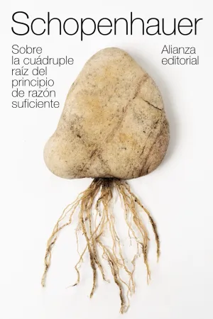 Sobre la Cuadruple Raiz del Principio de Razon Suf