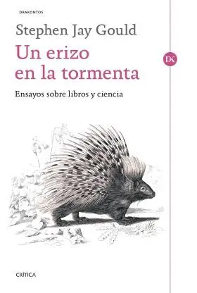 Un Erizo en la Tormenta