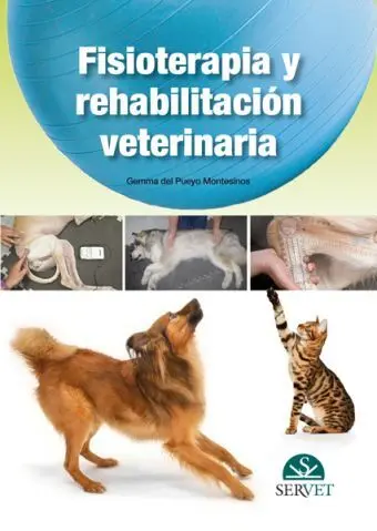 Fisioterapia y Rehabilitacion Veterinaria