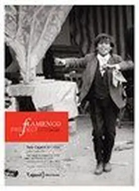 Flamenco Project. Una Ventana a la Vision Extranje